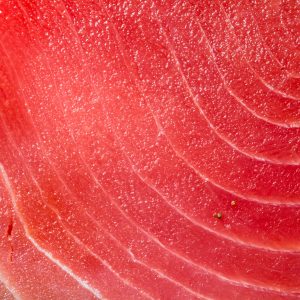 Texture of raw tuna.